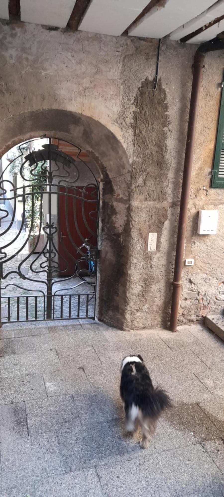Anna'S Home ** Campione dʼItalia المظهر الخارجي الصورة